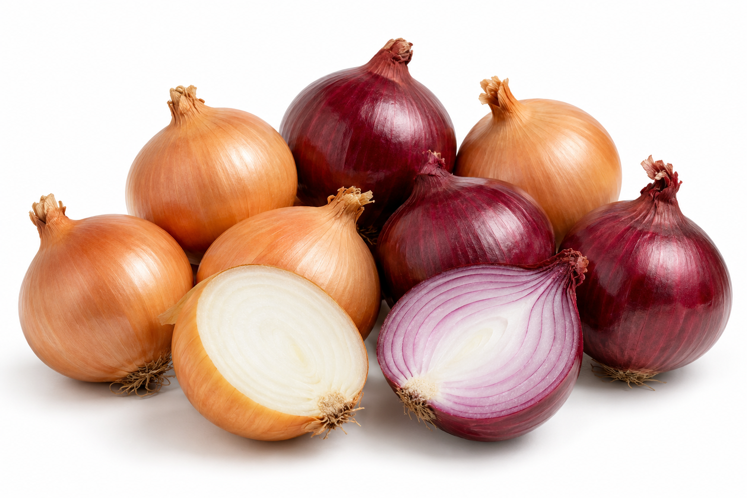 Egyptian red and golden onions prepared for export