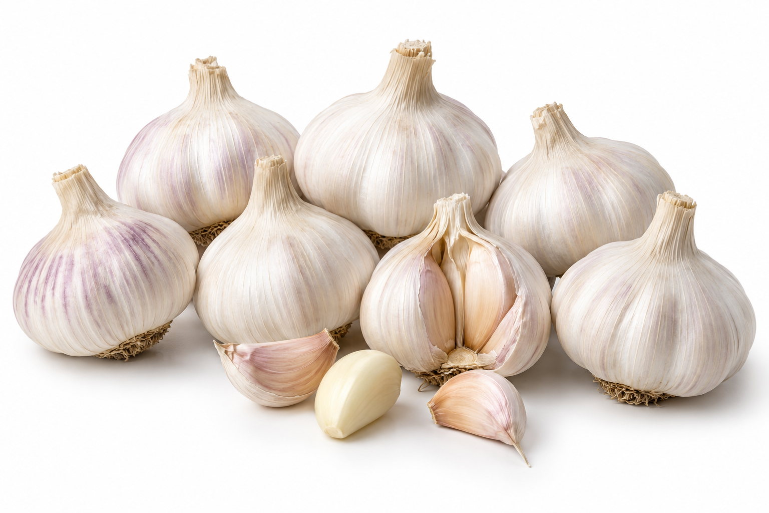 Fresh Egyptian garlic bulbs and cloves prepared for export