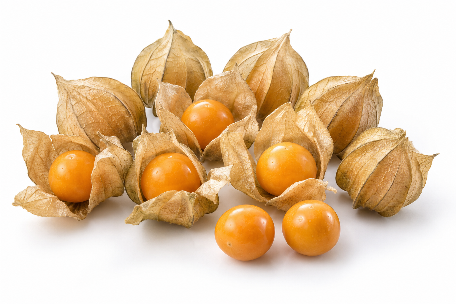 Egyptian golden berries Physalis for export