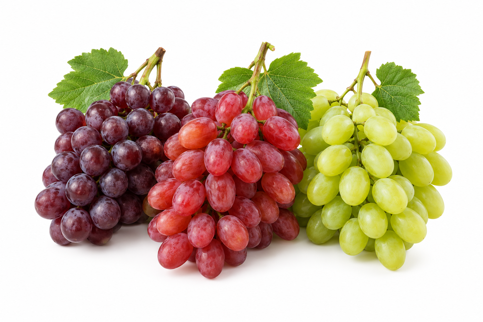 Fresh Egyptian table grapes for export